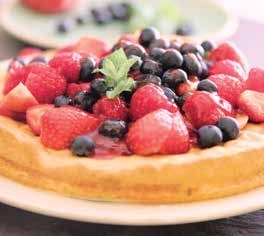 Simple Sponge